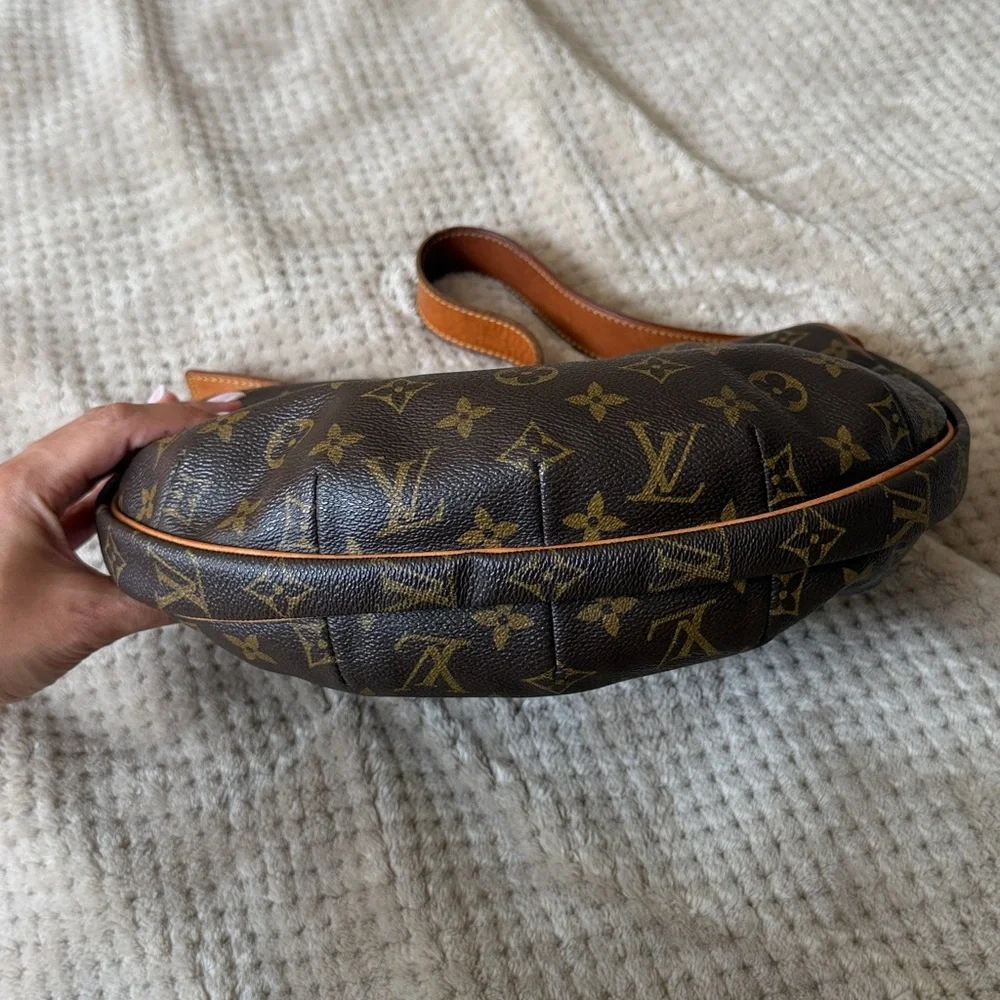 Louis Vuitton Brown and Tan Monogram Hobo Bag - Picture 5 of 8